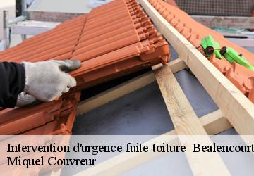 Intervention d'urgence fuite toiture   62770