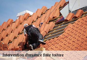 Intervention d'urgence fuite toiture 