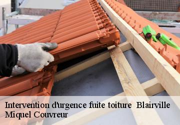 Intervention d'urgence fuite toiture   62173