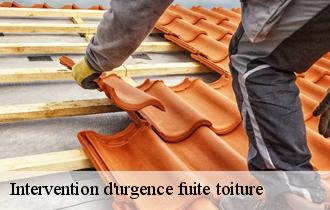 Intervention d'urgence fuite toiture 62380