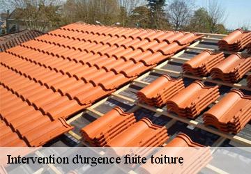 Intervention d'urgence fuite toiture 