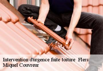 Intervention d'urgence fuite toiture 