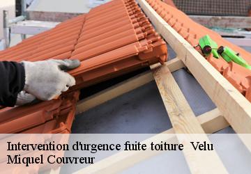 Intervention d'urgence fuite toiture   62124