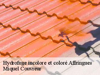 Hydrofuge incolore et coloré  affringues-62380 Miquel Couvreur