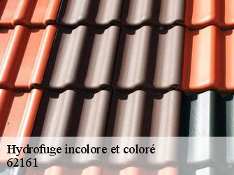 Hydrofuge incolore et coloré  62161