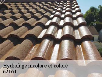 Hydrofuge incolore et coloré  62161