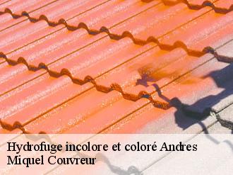 Hydrofuge incolore et coloré  andres-62340 Miquel Couvreur