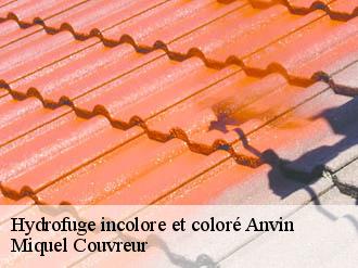 Hydrofuge incolore et coloré  anvin-62134 Miquel Couvreur