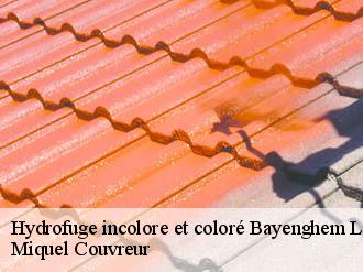 Hydrofuge incolore et coloré  bayenghem-les-eperlecques-62910 Miquel Couvreur