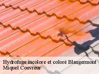 Hydrofuge incolore et coloré  blangermont-62270 Miquel Couvreur