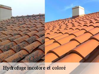 Hydrofuge incolore et coloré  62550