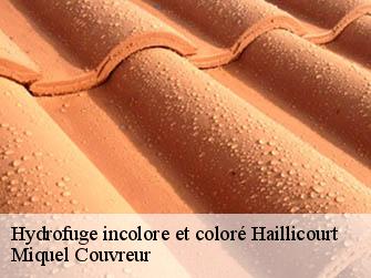 Hydrofuge incolore et coloré  62940