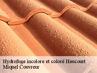 Hydrofuge incolore et coloré  62156