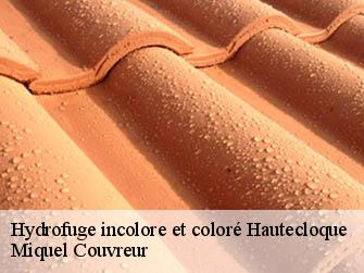 Hydrofuge incolore et coloré  62130