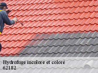 Hydrofuge incolore et coloré