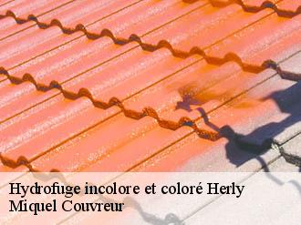 Hydrofuge incolore et coloré  herly-62650 Miquel Couvreur