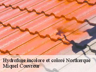 Hydrofuge incolore et coloré  nortkerque-62370 Miquel Couvreur