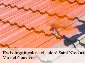 Hydrofuge incolore et coloré  saint-nicolas-62223 Miquel Couvreur