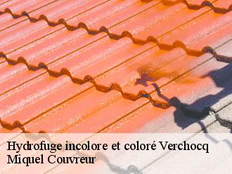 Hydrofuge incolore et coloré  verchocq-62560 Miquel Couvreur