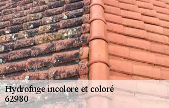 Hydrofuge incolore et coloré