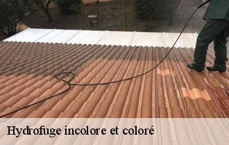 Hydrofuge incolore et coloré  62980