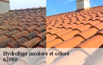 Hydrofuge incolore et coloré  62980