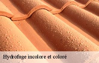 Hydrofuge incolore et coloré